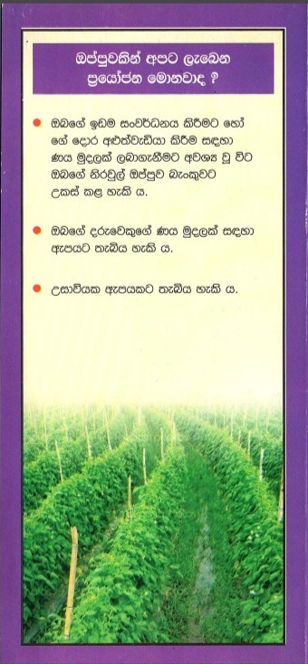 Land 3 2